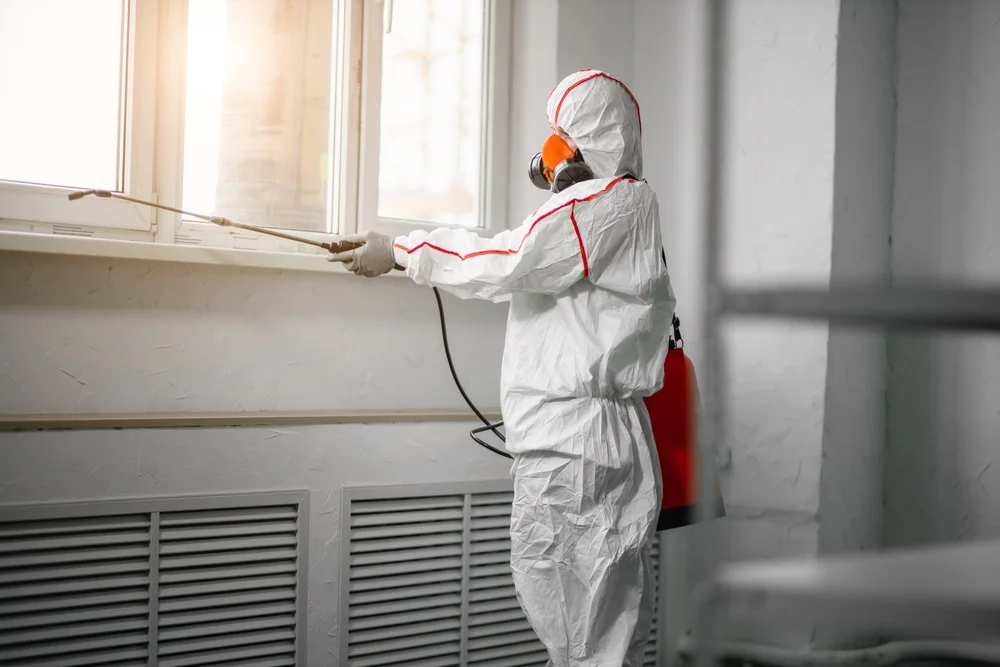 Professional mold remediation services in Crestview, FL